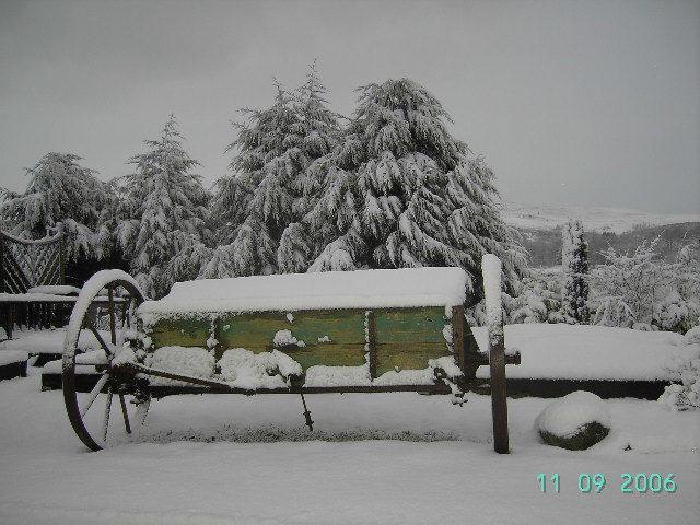 Tyddyn Perthi Farm Villa ลานเบอริส ภายนอก รูปภาพ